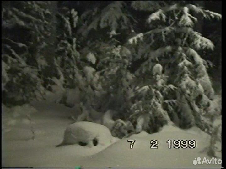 Оцифровка видеокассет, аудиокассет