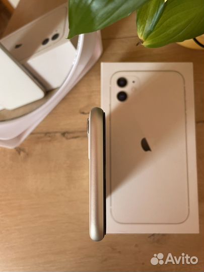 Apple iPhone 11