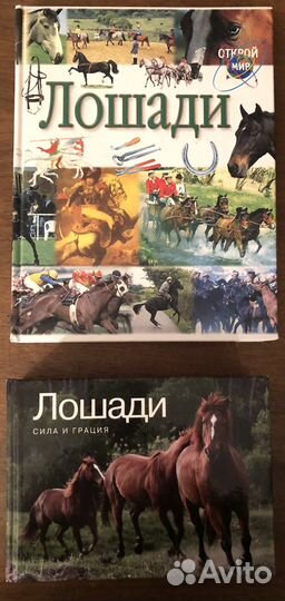 Лошади. Справочник по верховой езде