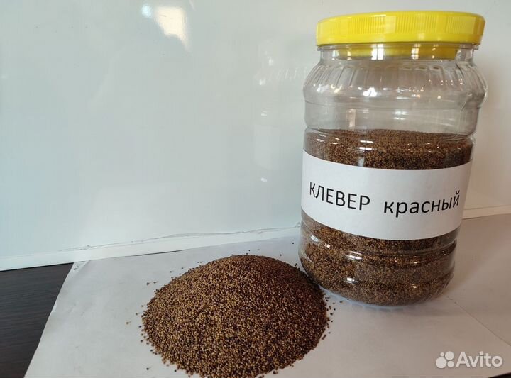 Семена клевера красного