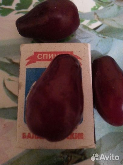 Кизил крупный грушевидный