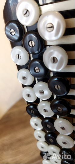 Баян рубин 6