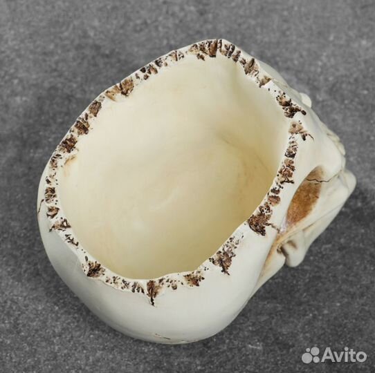 Крутая Подставка конфетница череп