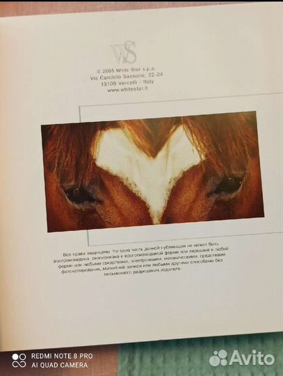 Резерв до 22.08. Книга Лошади. Лучшие фотографии