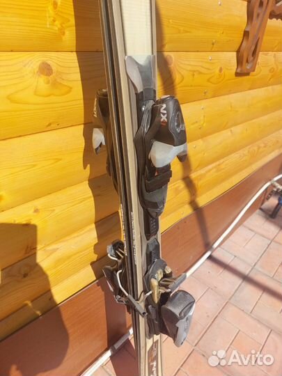 Горные лыжи