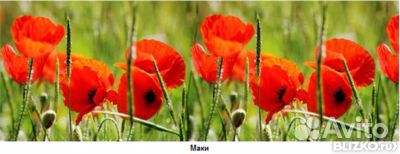 Фартук кухонный