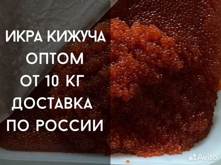 Красная икра Кижуча оптом