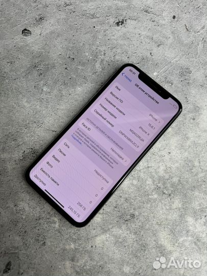 iPhone X, 256 ГБ