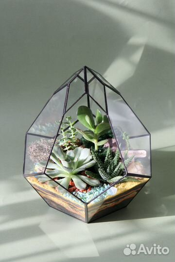 Флорариум 