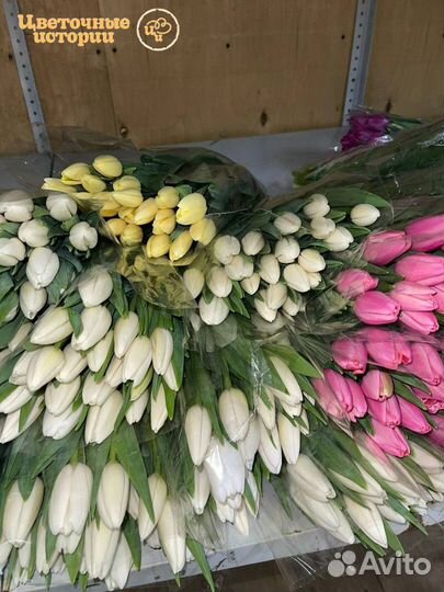 Цветы тюльпаны / доставка цветов