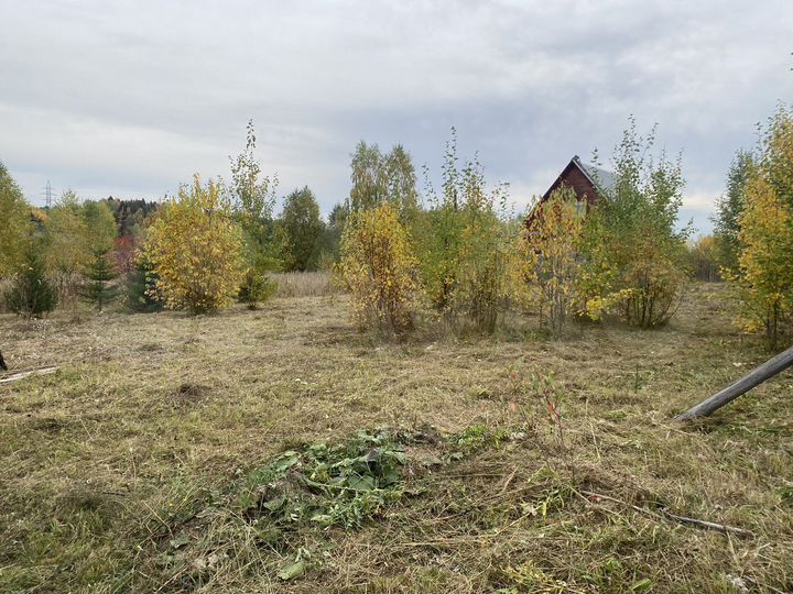 Участок 10 сот. (СНТ, ДНП)