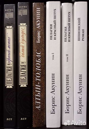 Книги Бориса Акунина