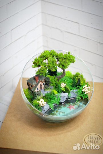 Моссариум с домиком у моря