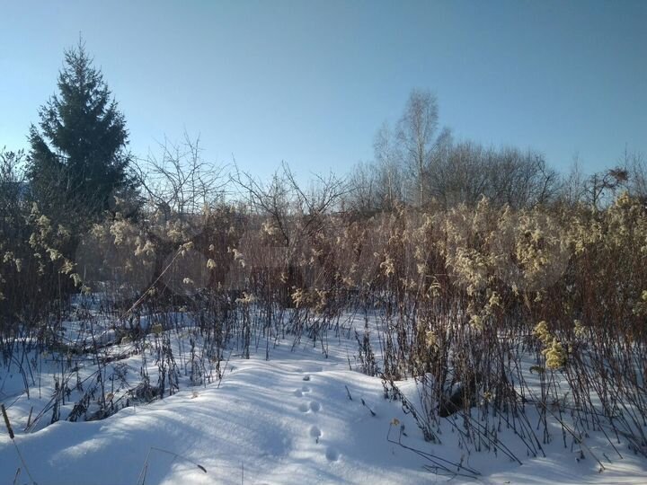 Участок 6 сот. (СНТ, ДНП)