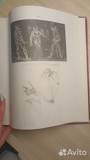 Ене Барчаи. Анатомия для художников