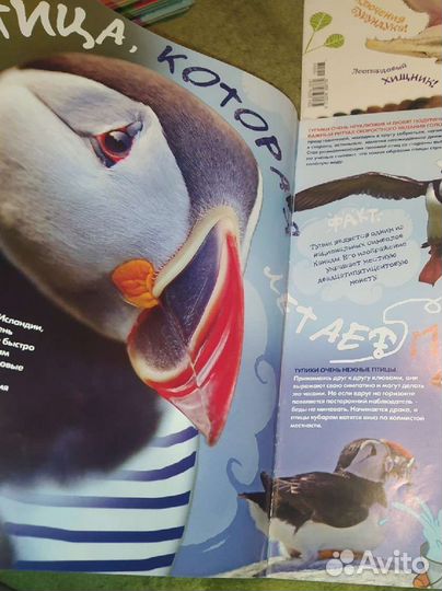 Журналы о животных