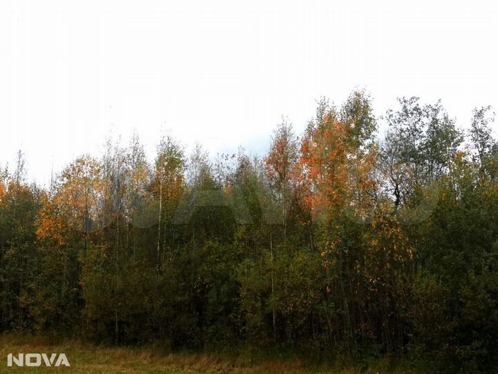 Участок 1,6 га (СНТ, ДНП)