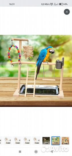 Площадка для птиц