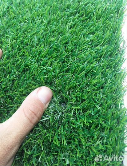 Невероятный Газон - Мшанка - Alena.park