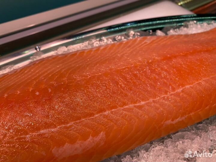 Лосось филе слабосолённый. Улов 2023. Опт