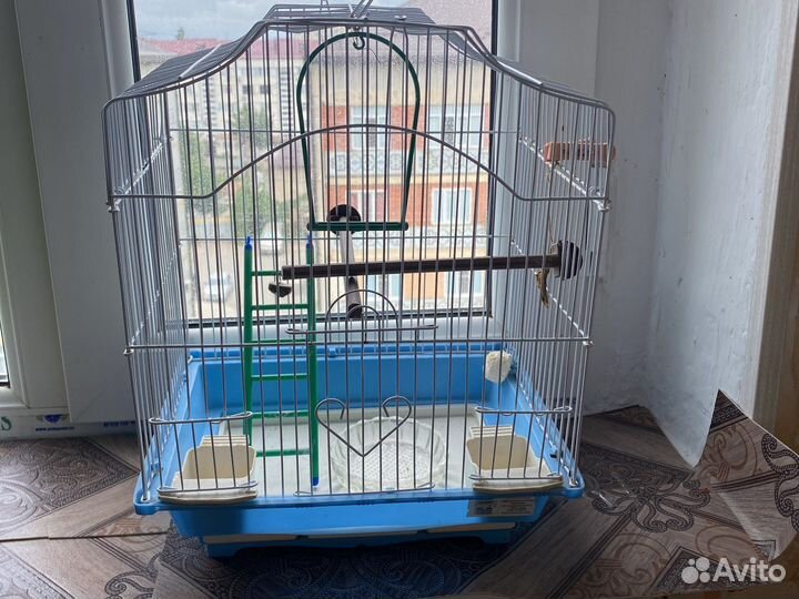 Клетка