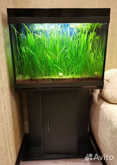 Аквариум 100 литров с тумбой