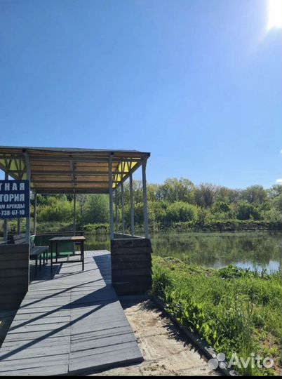 Аренда беседки и рыбалка