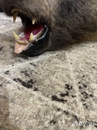 Шкура ковер медведя ''имитация''