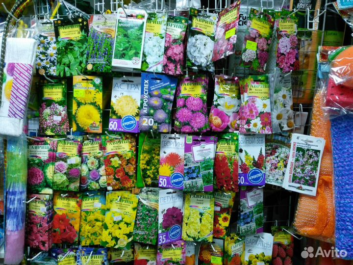 Семена цветов 