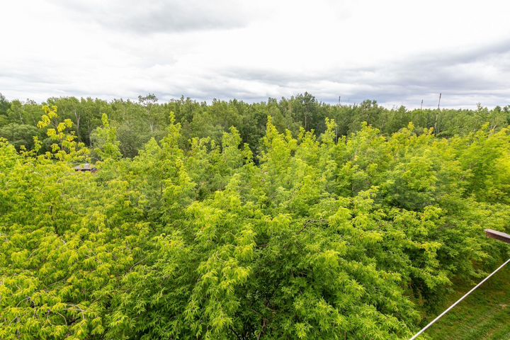 1-к. квартира, 32,7 м², 5/6 эт.