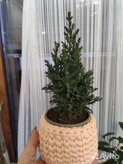 Корзина органайзер для хранения косметики