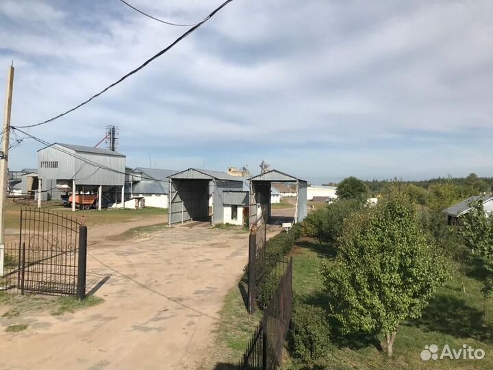 Хпп (элеватор напольного хранения) 8 складов