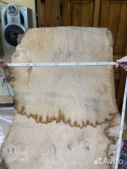 Слэб каштана 160см высота толщина 65мм