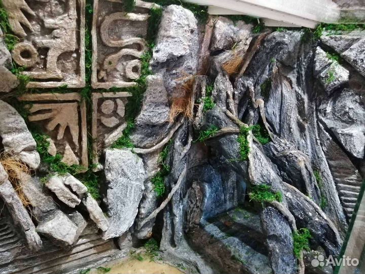 Террариум на заказ