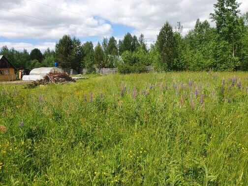 Участок 10 сот. (ИЖС)