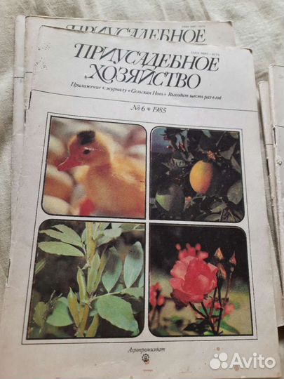Приусадебное хозяйство