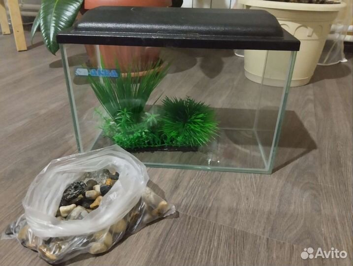 Аквариум
