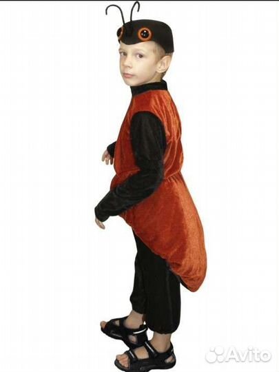 Костюмы насекомых