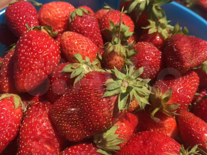 Дача 70 м² на участке 7,8 сот.