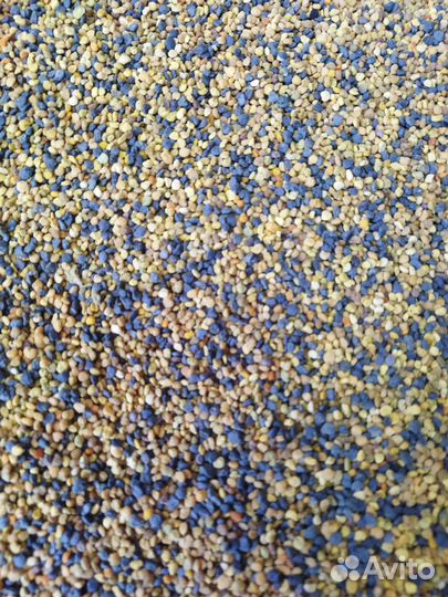 Пыльца, перга, прополис 2023 года