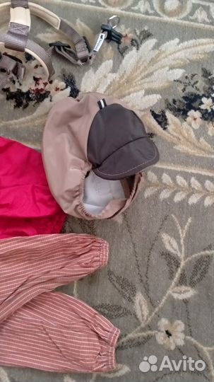 Одежда для собак