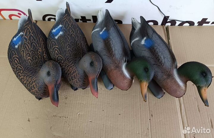 Комплект чучел для охоты: 4 чучела кряквы