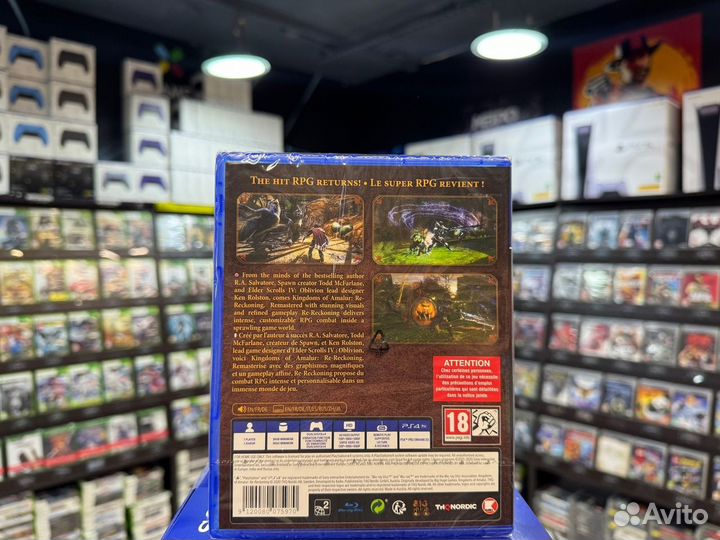 Игры для PS4: Kingdoms of Amalur: RE-Reckoning