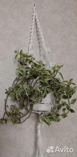 Кашпо для цветов подвесное