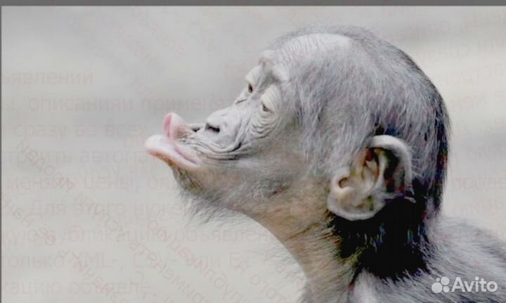 Водитель категория В На своем авто Питание беспл