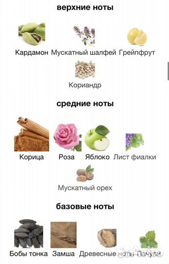 Montblanc emblem intense отливант