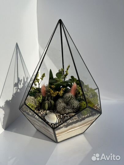 Флорариум суккуленты мох подарок