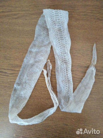 Выползок змеи