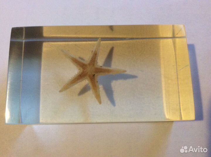 Коллекция Насекомые