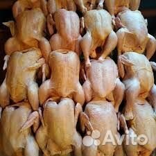 Мясо домашнего бройлера
